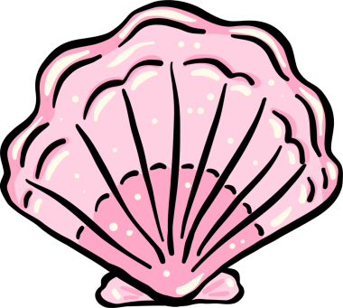 Illustration of a Pink Seashell black outline, Fisherman Aesthetic