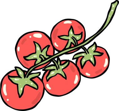 Hand Drawn of Vine-Ripened Tomatoes