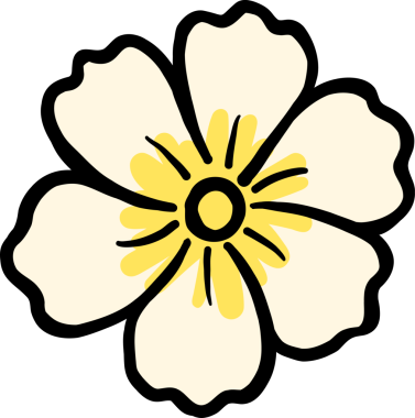 Cream and Yellow Sakura Flower Hand Drawn