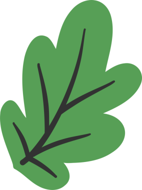 Illustration of a Green Oak Leaf