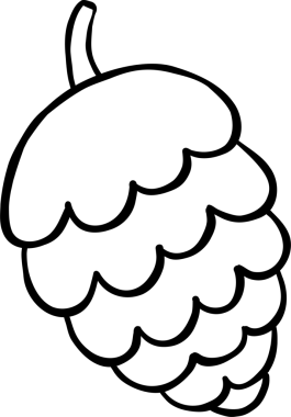 Illustration of a Pinecone in White and Black Outline