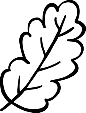Illustration of a White Oak Leaf Outline