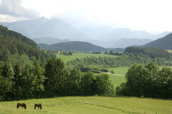 Austrian landscape near Griffen, Carinthia, Austria