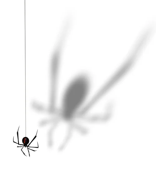 Black Widow Een Witte Achtergrond Rendering — Stockfoto