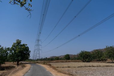 Güneşli bir gün kırsal orman yakın görünüm Snap içinde Paddy çiftlik güç ızgara kablosu. 