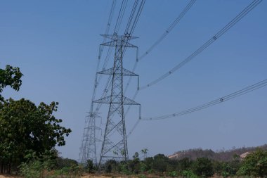 Güneşli bir gün kırsal orman yakın görünüm Snap üzerinde çeltik çiftlik güç ızgara kablosu. 