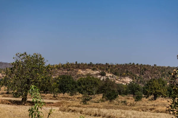 Cima Montaña Paisaje Roca Desnuda Piscinas Roca Bosque Rural Ofrece — Foto de Stock