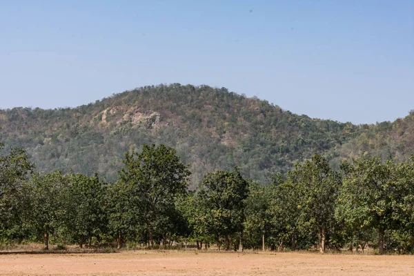 Muito Perto Vista Floresta Montanha Pedra Olhando Incrível Dia Ensolarado — Fotografia de Stock