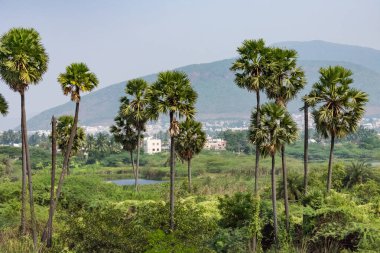 slough gölet ile palmiye ağacı ve bina ve müthiş görünümlü dağ ile arka plan görünümünü kapat.