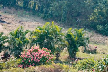 Hint Bahçe görünümü iyi görünüyor kapat.