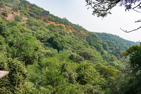 Uma Montanha Verde Que Parece Incrível Com Floresta Sempre Verde — Fotografia de Stock