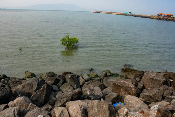 Piedras Cerca Vista Orilla Del Mar Bien Día Soleado — Foto de Stock