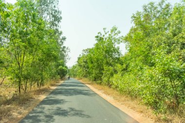 Her iki taraf orman kırmızı toprak düz ağaçta üzerinden gökyüzü ufuk kırsal Hint yokuş yukarı adım yol Otoban karşılar.