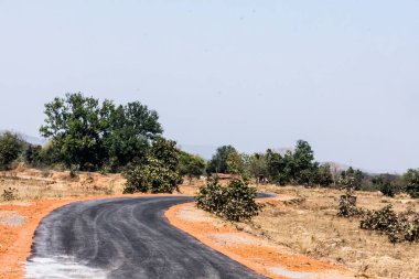 Yaz sezonu sıcak bir öğleden sonra her iki düz karayolu kırsal yol küçük bir ağaç.