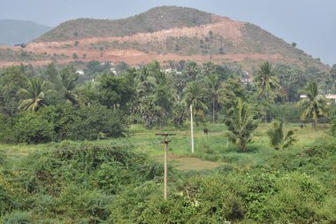 Arka plan manzaralı Hindistan tarım arazisi.