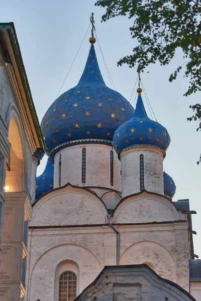 Golden Ring Ryssland City Reserv Suzdal — Stockfoto