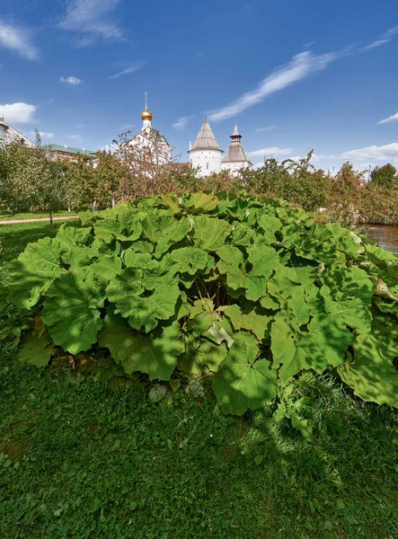 Anneau Russie Rostov Kremlin Fondée 12Ème Siècle Ville Rostov Veliky — Photo