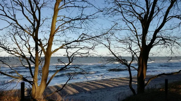 Invierno Der Ostsee Con Warnemuende — Foto de Stock