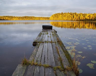 Güzel altın gün batımı sessiz Orman Gölü