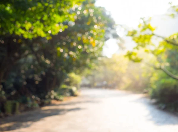 Arkaplanı Bokeh olan ağaç bahçesi ve yerel yolun soyut bulanık görüntüsü