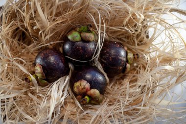 Saman üzerinde dört mangosteens