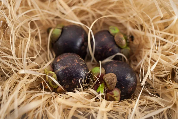 Четыре Mangosteens Соломе Изолированы Белом Фоне — стоковое фото