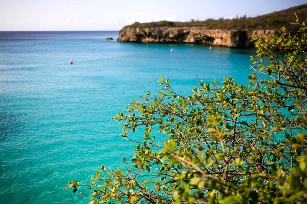 Playa Kenepa Grandi Beach på Curacao — Stockfoto