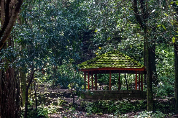 Orman ortasında küçük bir mandapa