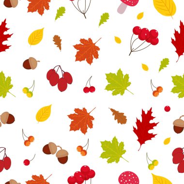 Dikişsiz desen, meşe palamutları, çilek ve mantar renkli sonbahar yaprakları. Beyaz arka plan üzerinde
