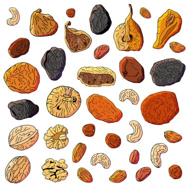 renkli farklı kurutulmuş meyve ve beyaz arka plan üzerinde izole Nuts.Elements kümesi. Renk, elle çizilmiş. Vektör çizim