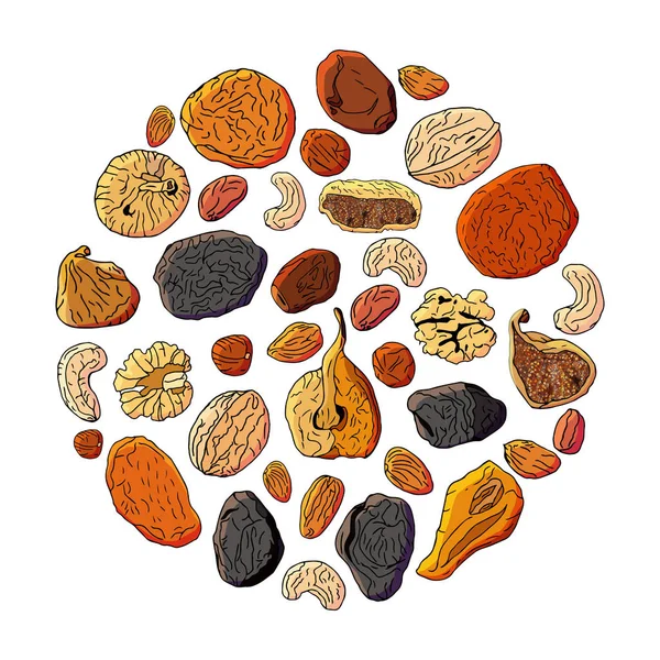 Farklı Kurutulmuş Meyve Nuts Isolated Beyaz Zemin Üzerine Yapılmış Daire — Stok Vektör