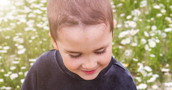 Little cute boy with very long eyelashes. Baby laughs on the background of the daisy field. Walk in nature. Happy childhood in photography