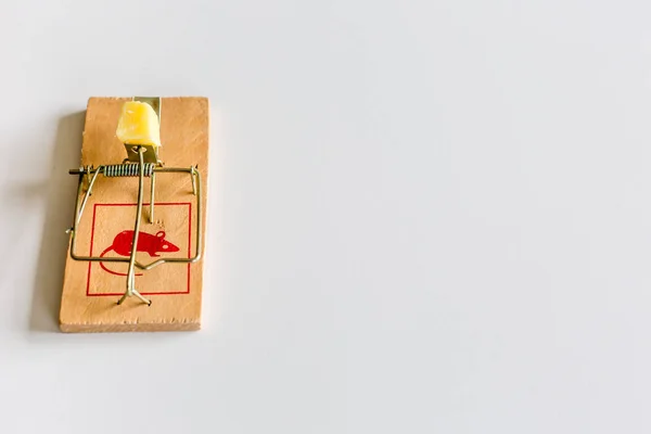 bir parça peynir beyaz yüzey üzerinde yüklü ahşap fare kapanı