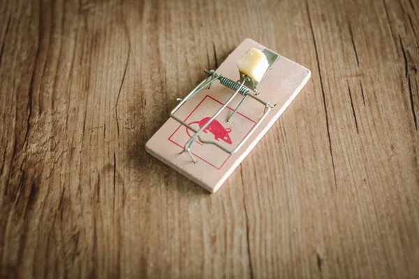 bir parça peynir bir ahşap zemin üzerinde yüklü ahşap fare kapanı