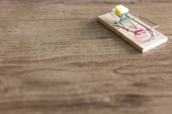 bir parça peynir bir ahşap zemin üzerinde yüklü ahşap fare kapanı