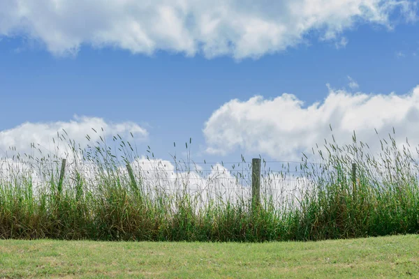 Basit bir tel çit ve çim ve mavi gökyüzü ve bulutlar içinde belgili tanımlık geçmiş ile kırsal bir ayar görünümünü