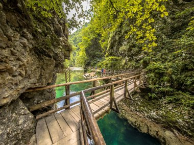 Soteska vintgar gorge boardwalk güneşli Nehri Köprüsü ile