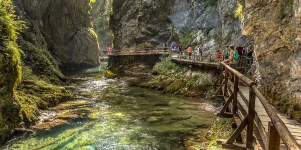 Soteska Vintgar Gorge Con Turisti Piedi Sul Lungomare Lungo Fiume — Foto Stock