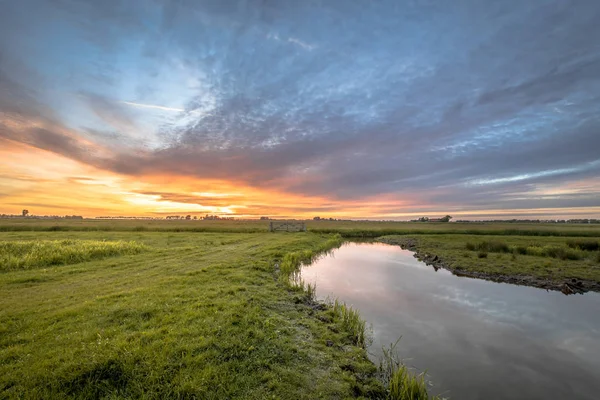 Uitzicht Zuivel Landbouwgrond Agrarische Landschap Het Nederlandse Platteland Groningen Nederland — Stockfoto