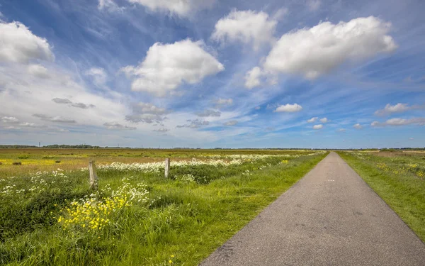 荷兰圩景观中的小二级农村公路绿色草地和蓝天 — 图库照片