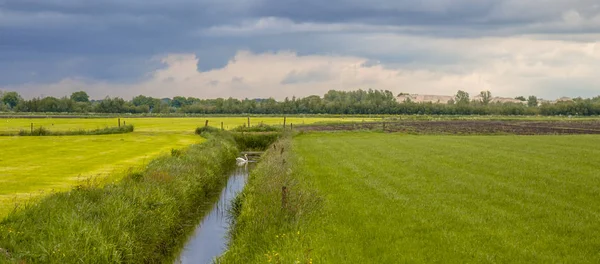 荷兰农业景观与新鲜绿色草地在戏剧性的天空下的全景 — 图库照片