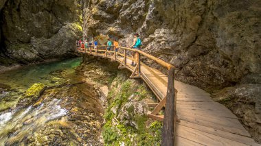 Soteska vintgar gorge güneşli günde tahta Nehri üzerinde yürüyen turist
