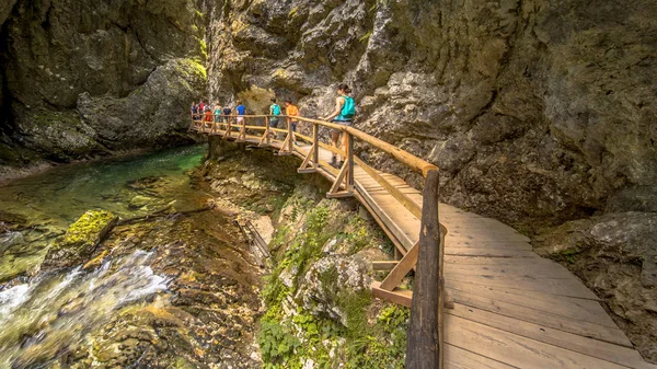 Soteska vintgar gorge güneşli günde tahta Nehri üzerinde yürüyen turist