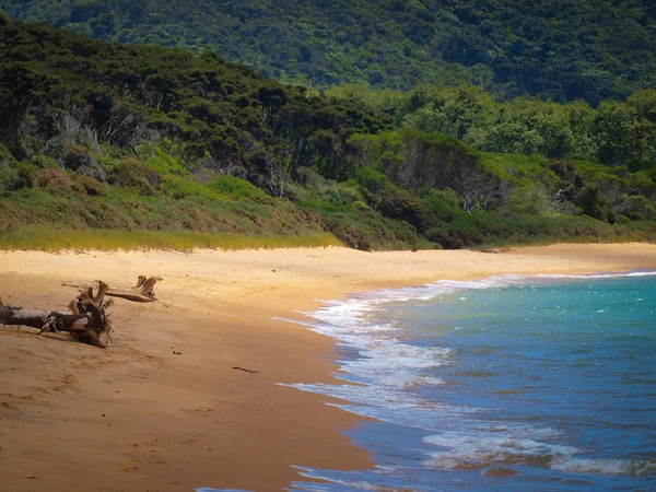 Playa Aislada Salvaje Totaranui Parque Nacional Abel Tasman — Foto de Stock