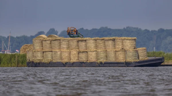 荷兰弗里斯兰 Terherne Sneekermeer 湖岛上的驳船满载干草 — 图库照片