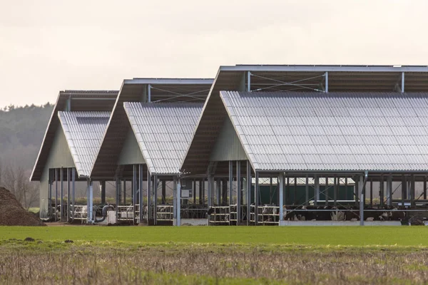 Tres Graneros Establos Abiertos Gigantes Granja Fábrica Alemania — Foto de Stock