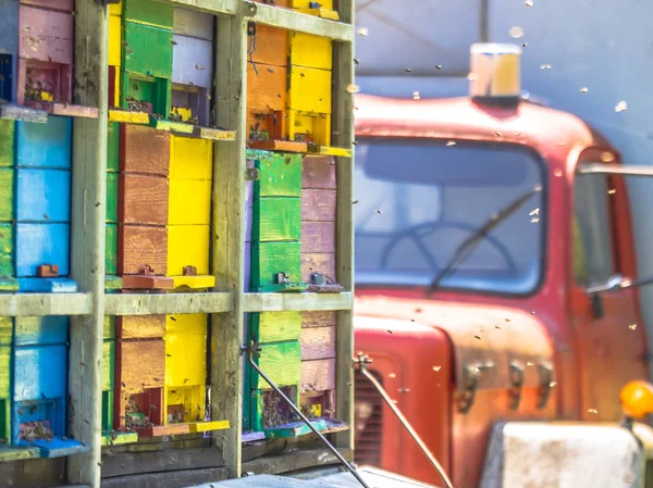 Detail Mobiele Bijenkorf Vrachtwagen Met Kleurige Panelen Zonnige Dag — Stockfoto