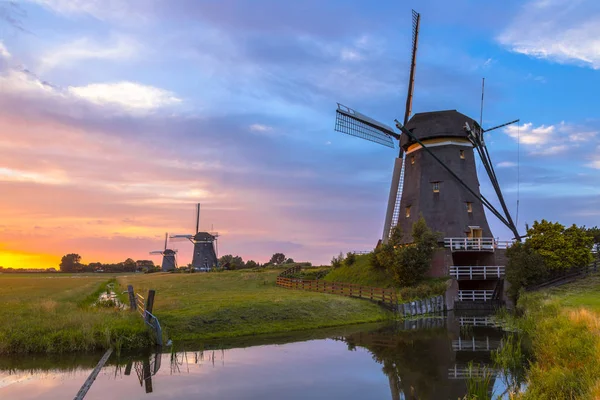 Drie Historische Houten Windmolens Bij Zonsondergang Nederlands Polderlandschap — Stockfoto