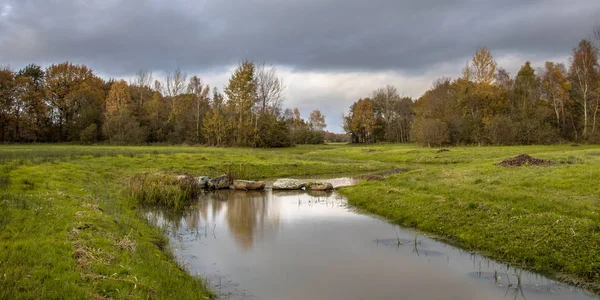 Blick Auf Mäandrierenden Bach Kleinem Flusstal Feuchter Niederländischer Landschaft — Stockfoto