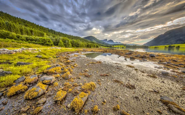 Fjord Landschap Met Bergen Achtergrond Getijde Zone Met Rotsen Stenen — Stockfoto